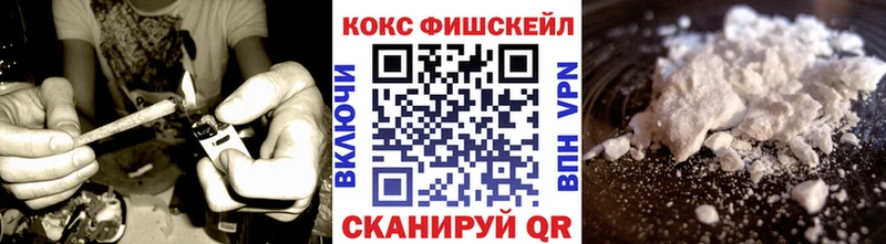 Купить закладки Судак КОКАИН FishScale
