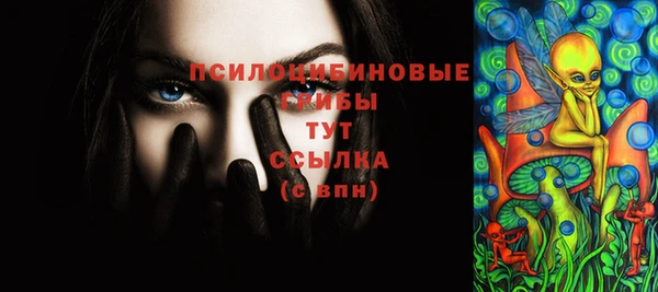 spice Арсеньев