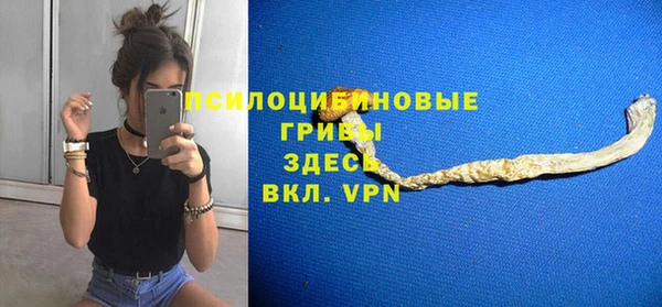 spice Арсеньев