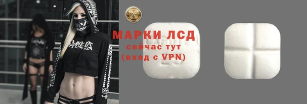 ешки Аркадак