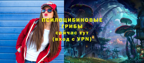 ешки Аркадак