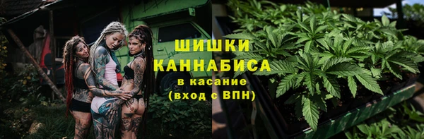 ешки Аркадак