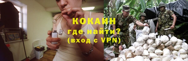 ешки Аркадак