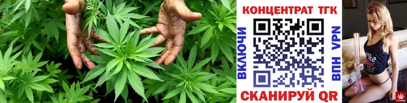 Купить  Судак  ТГК концентрат 