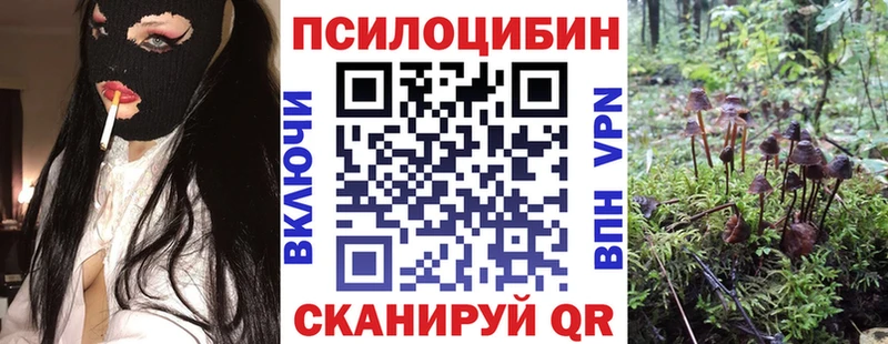 Галлюциногенные грибы ЛСД  Купить где  Судак 